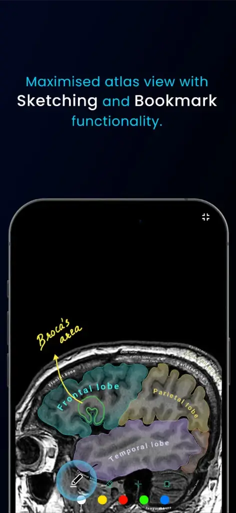 Humanato brain atlas sketching and bookmarking